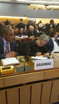 IMO Elections